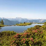 호텔 Berghof 3*