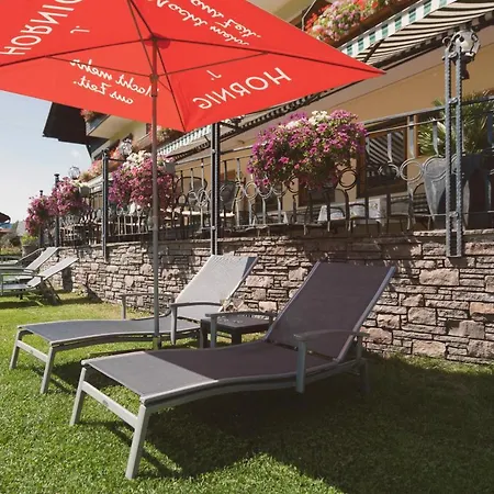 Hotel Berghof Hotel Berg im Drautal