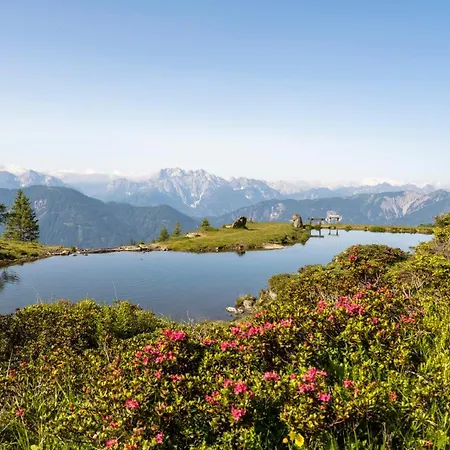Hotel Hotel Berghof 3*
