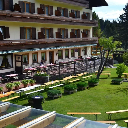 Hotel Hotel Berghof 3*