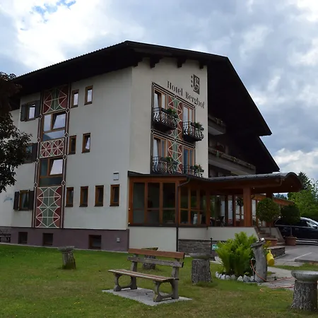 Hotel Hotel Berghof Berg im Drautal